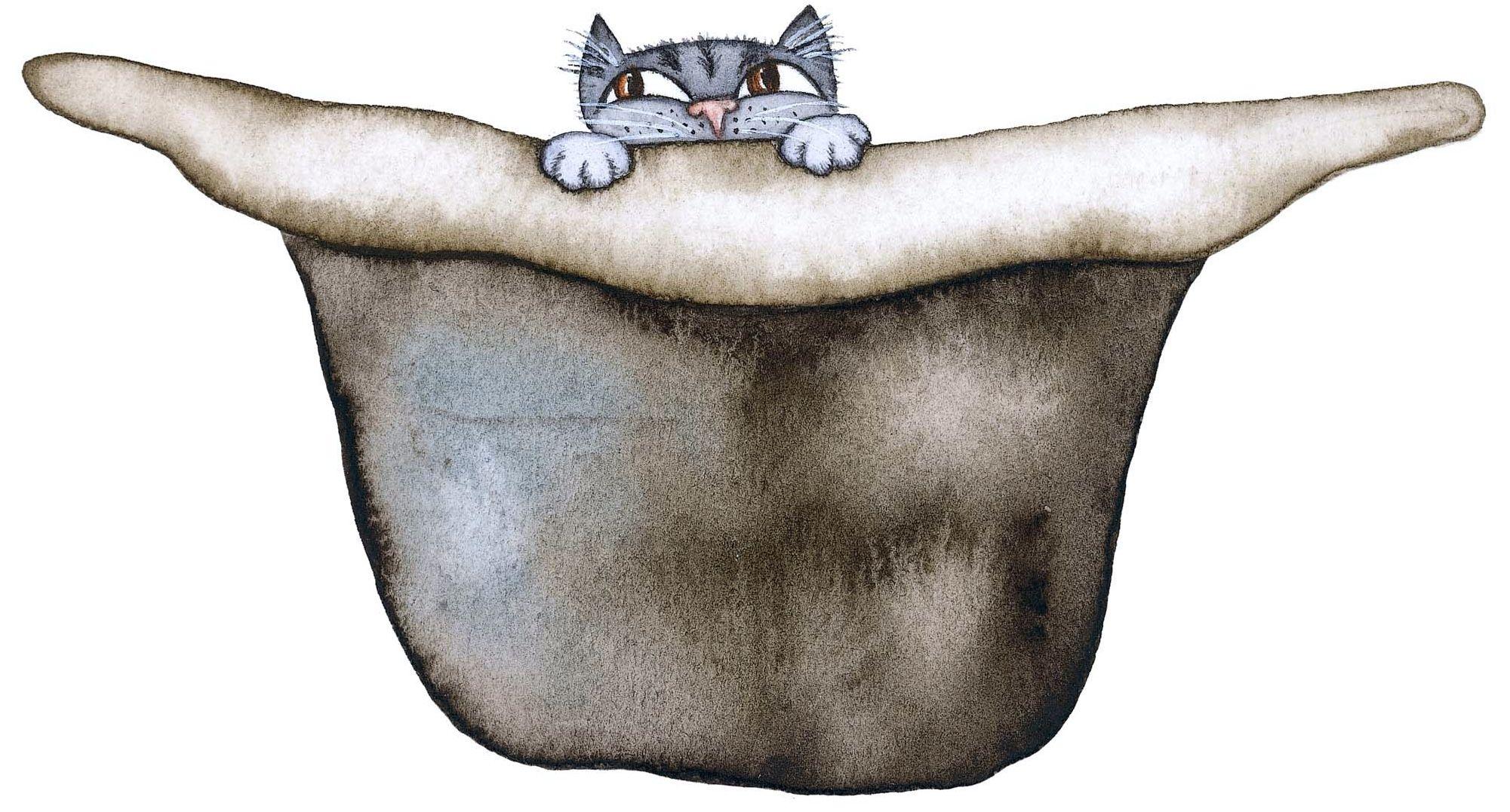 Katten Snurrebuss